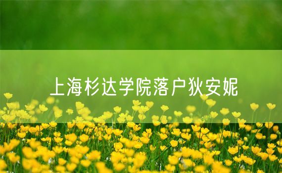 上海杉达学院落户狄安妮