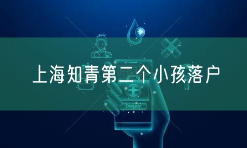 上海知青第二个小孩落户