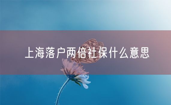 上海落户两倍社保什么意思