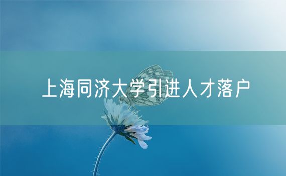 上海同济大学引进人才落户