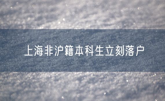 上海非沪籍本科生立刻落户