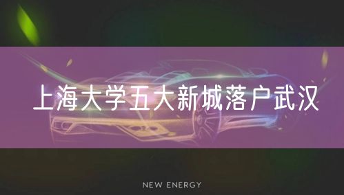 上海大学五大新城落户武汉