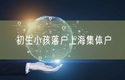 初生小孩落户上海集体户
