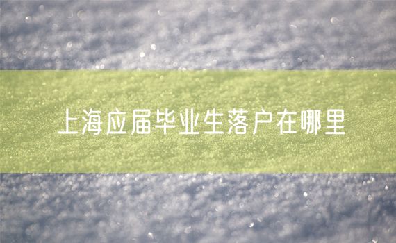 上海应届毕业生落户在哪里