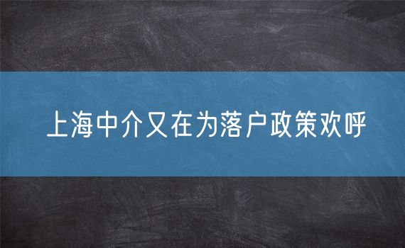 上海中介又在为落户政策欢呼