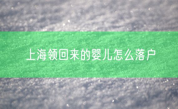 上海领回来的婴儿怎么落户
