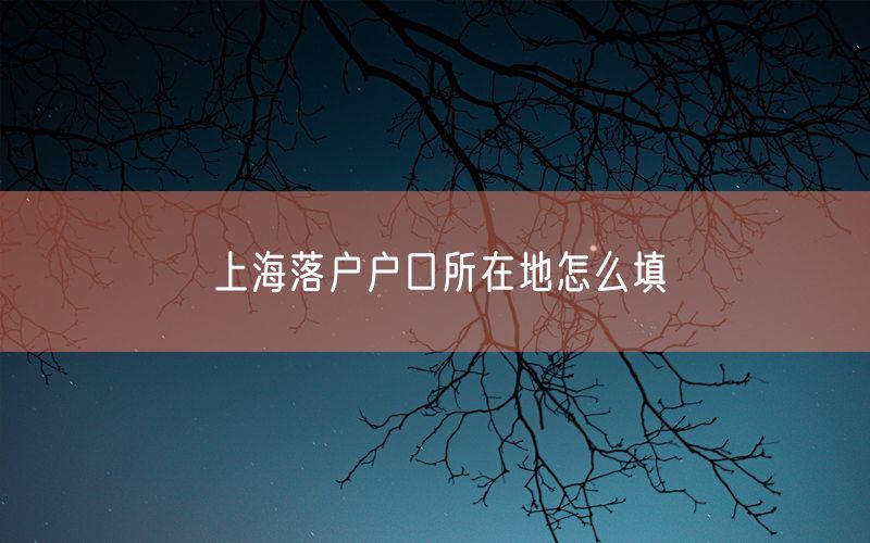 上海落户户口所在地怎么填