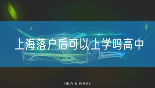上海落户后可以上学吗高中