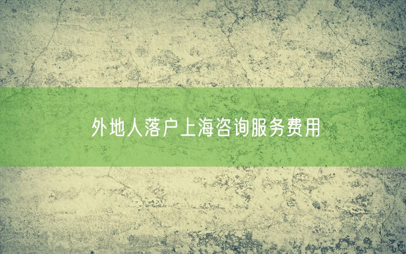 外地人落户上海咨询服务费用