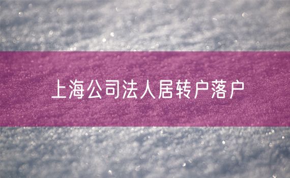 上海公司法人居转户落户