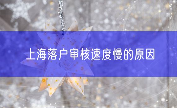 上海落户审核速度慢的原因