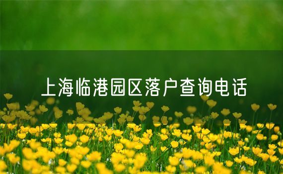 上海临港园区落户查询电话