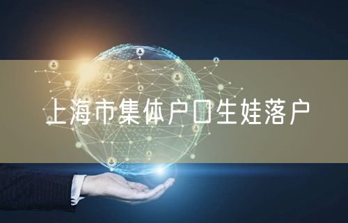 上海市集体户口生娃落户