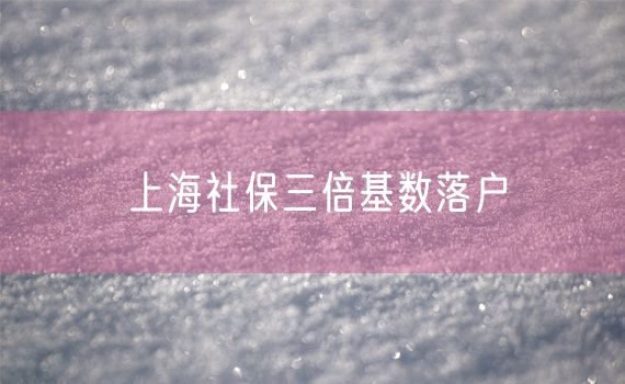 上海社保三倍基数落户