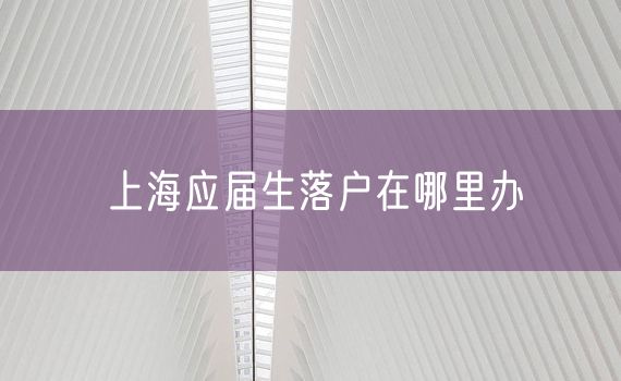 上海应届生落户在哪里办