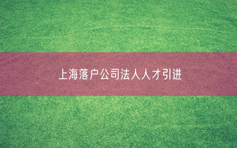 上海落户公司法人人才引进