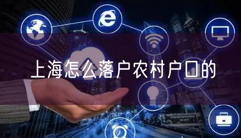 上海怎么落户农村户口的