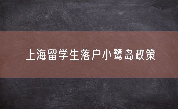 上海留学生落户小鹭岛政策