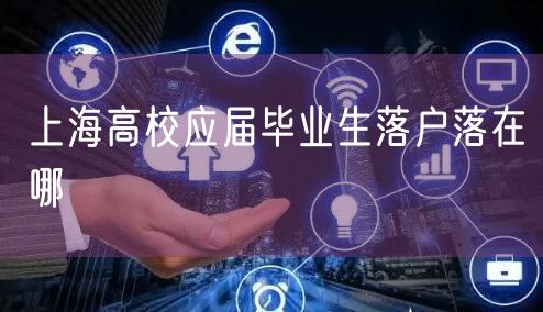 上海高校应届毕业生落户落在哪