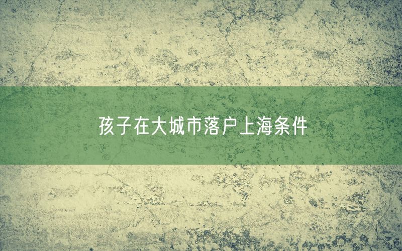 孩子在大城市落户上海条件