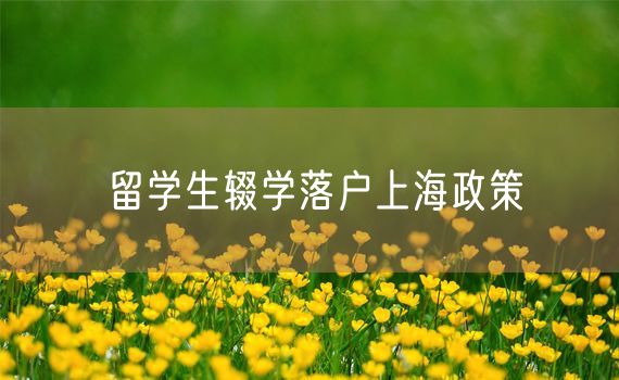 留学生辍学落户上海政策