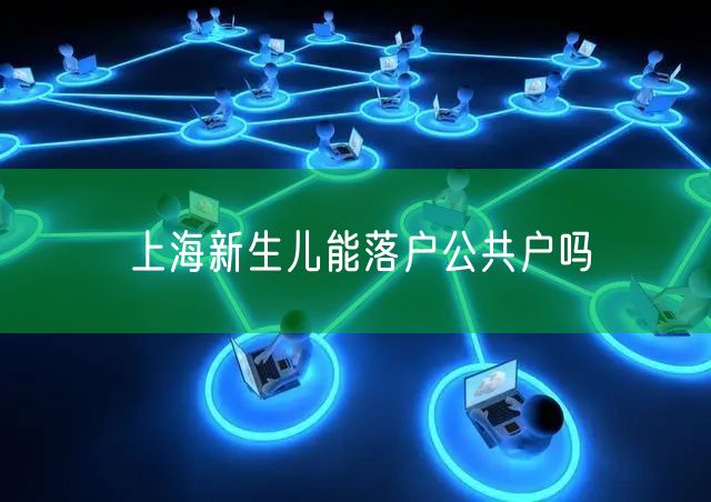 上海新生儿能落户公共户吗