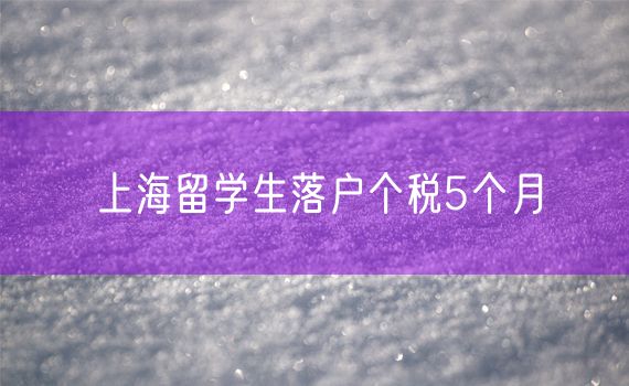 上海留学生落户个税5个月
