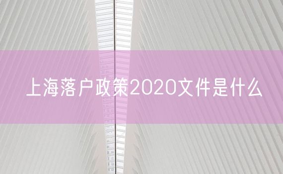 上海落户政策2020文件是什么