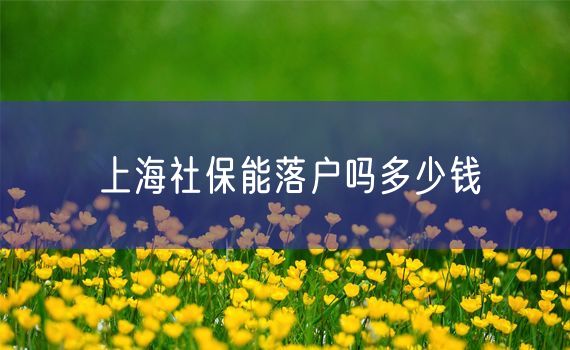 上海社保能落户吗多少钱