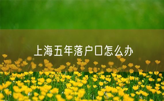 上海五年落户口怎么办