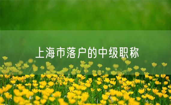 上海市落户的中级职称