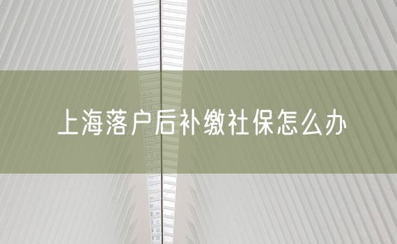 上海落户后补缴社保怎么办