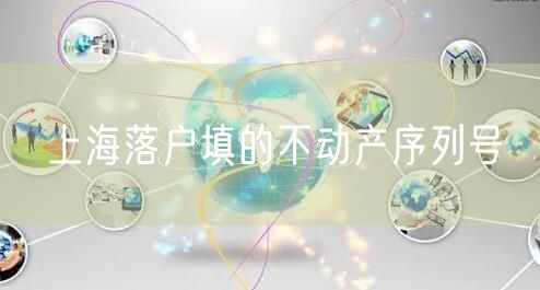 上海落户填的不动产序列号