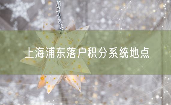 上海浦东落户积分系统地点