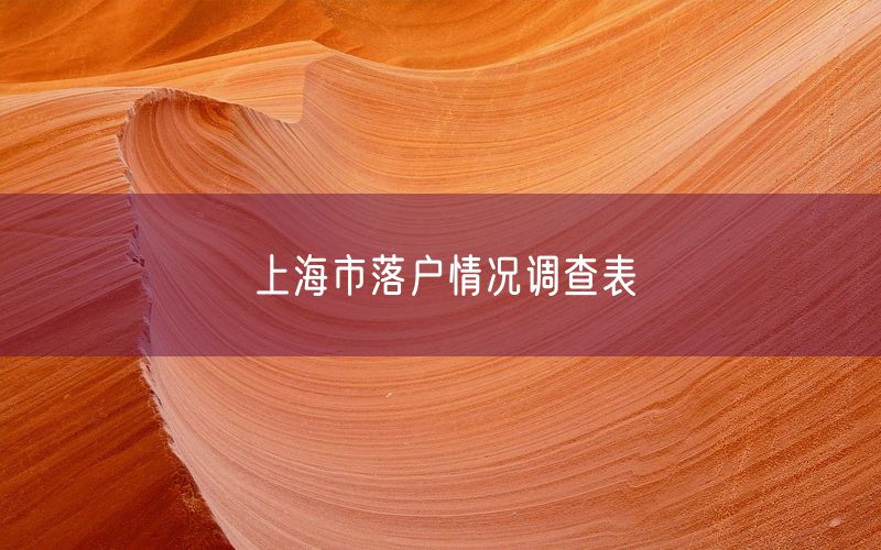 上海市落户情况调查表