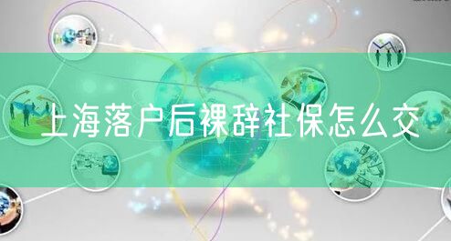 上海落户后裸辞社保怎么交
