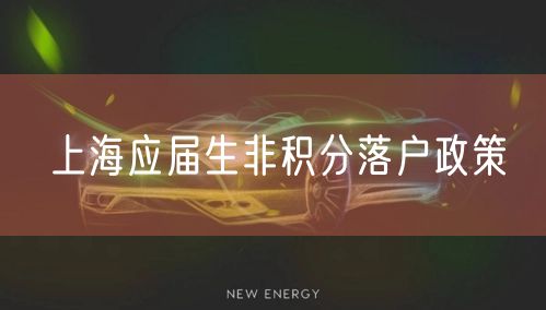 上海应届生非积分落户政策