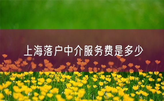 上海落户中介服务费是多少