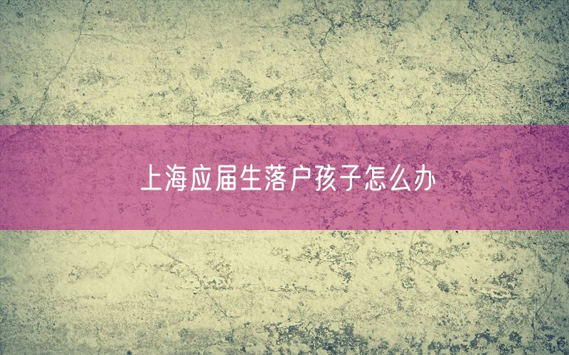 上海应届生落户孩子怎么办