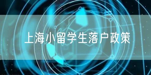上海小留学生落户政策