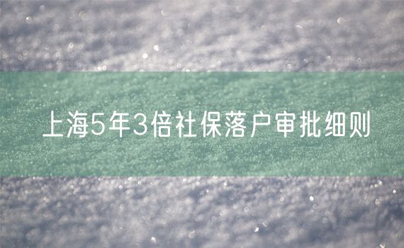 上海5年3倍社保落户审批细则