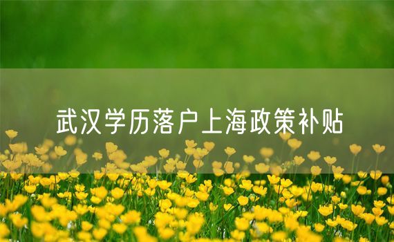 武汉学历落户上海政策补贴