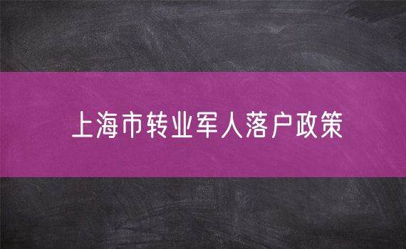 上海市转业军人落户政策