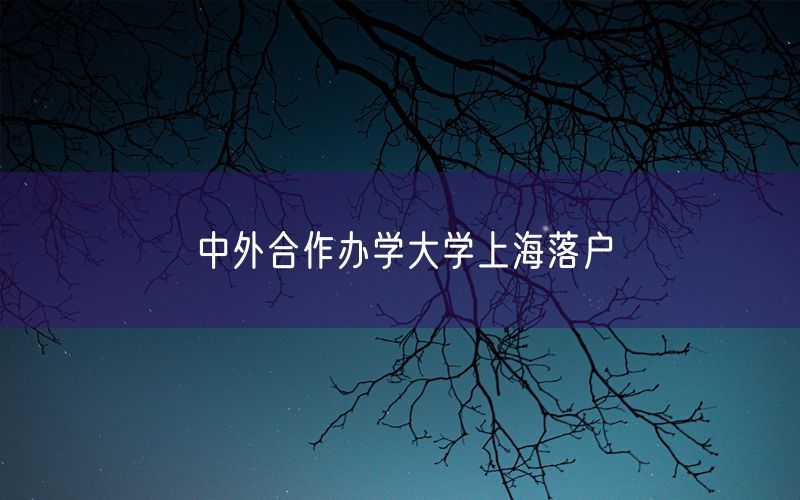 中外合作办学大学上海落户