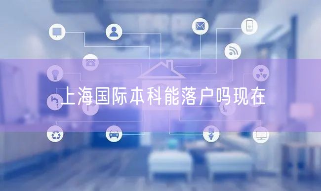 上海国际本科能落户吗现在