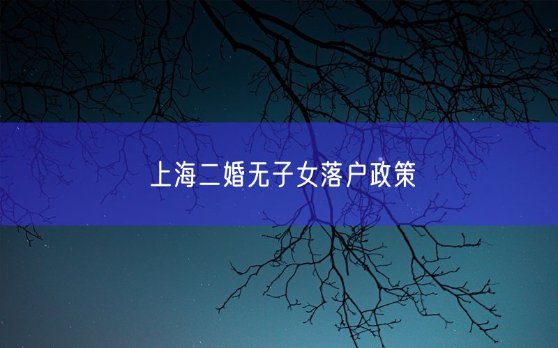 上海二婚无子女落户政策