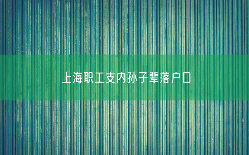 上海职工支内孙子辈落户口