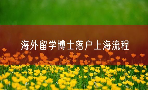 海外留学博士落户上海流程