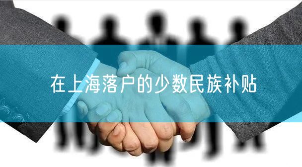 在上海落户的少数民族补贴