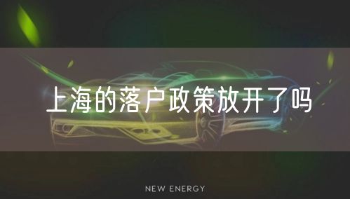 上海的落户政策放开了吗